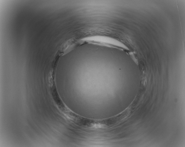 X0000068740360200605121550