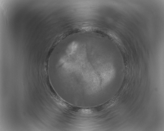 X0000068740361200605121550