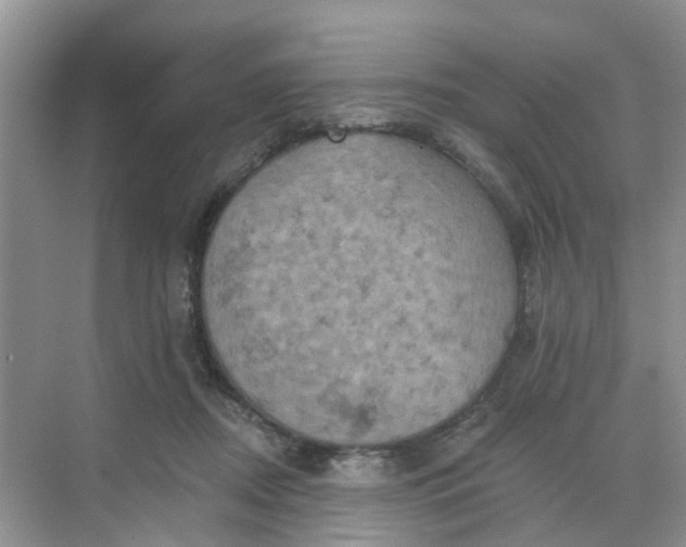 X0000068740362200605121550