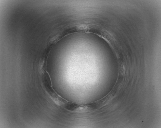 X0000068740364200605121550