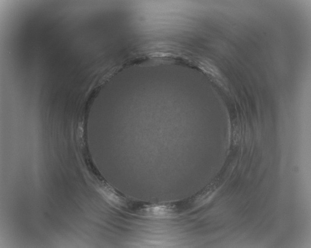 X0000068740365200605121550