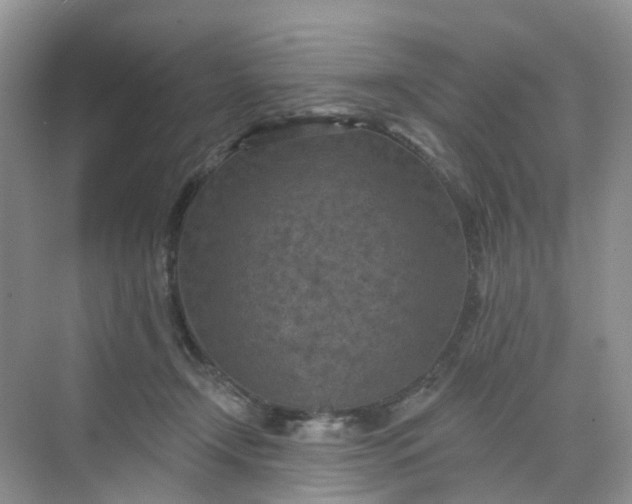 X0000068740366200605121550