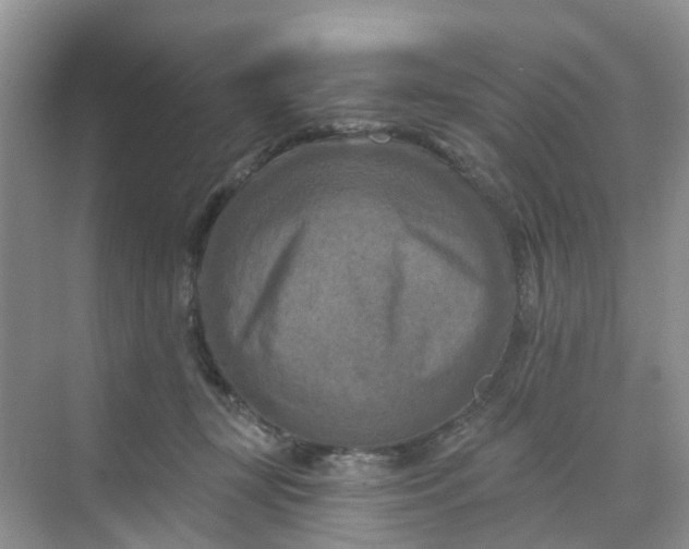 X0000068740367200605121550