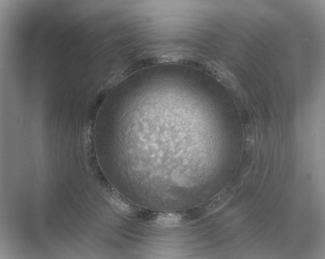 X0000068740369200605121550