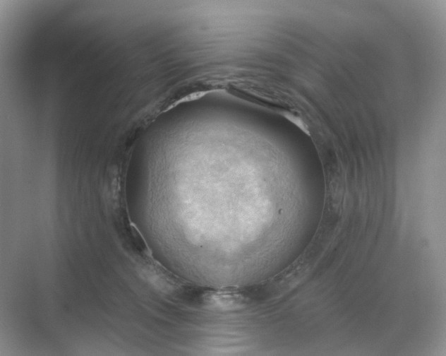 X0000068740372200605121550