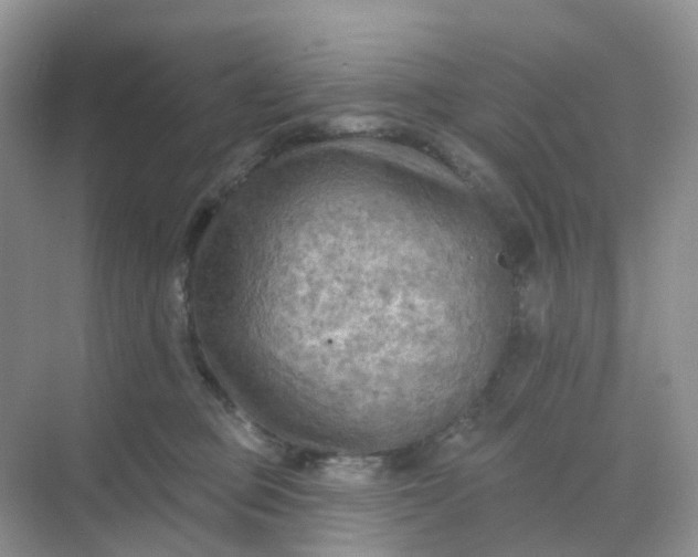 X0000068740373200605121550