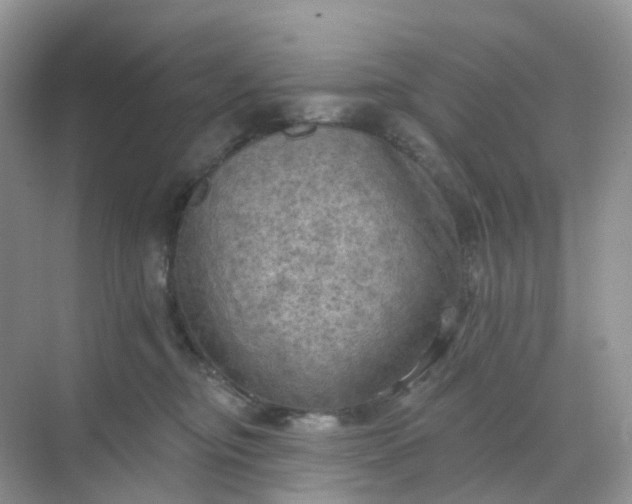 X0000068740374200605121550