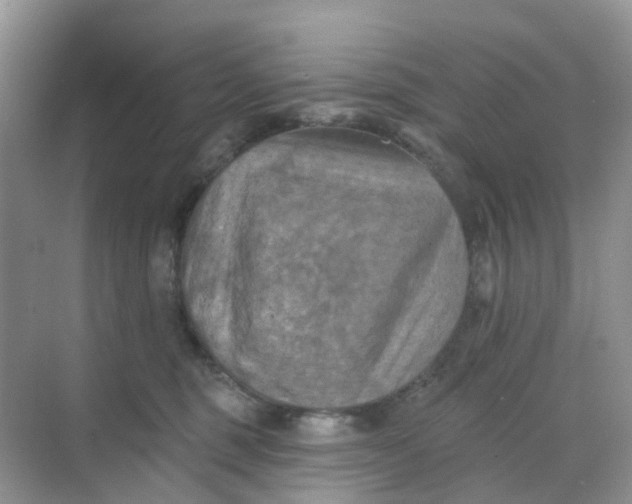 X0000068740375200605121550