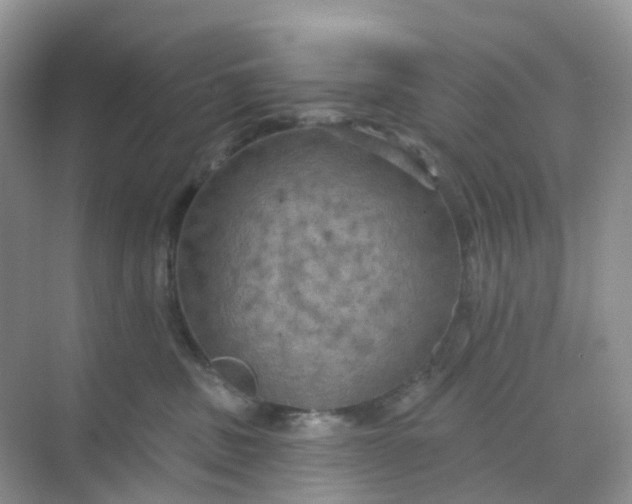 X0000068740379200605121550