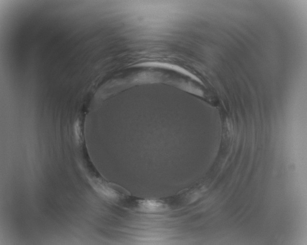 X0000068740380200605121550