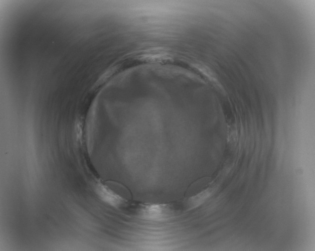 X0000068740382200605121550