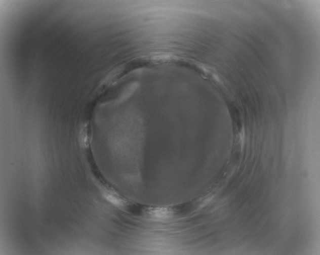 X0000068740383200605121550