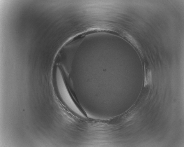 X0000068740387200605121549