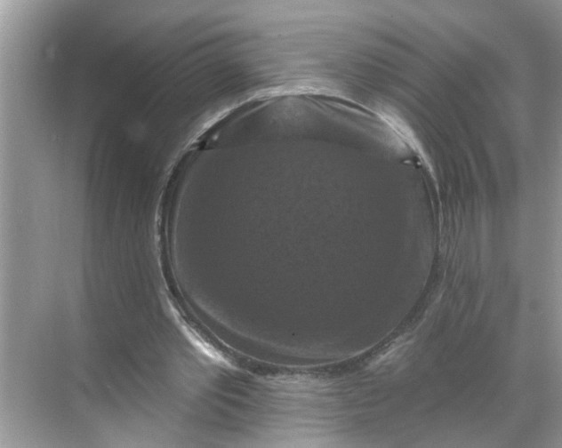 X0000068740389200605121549