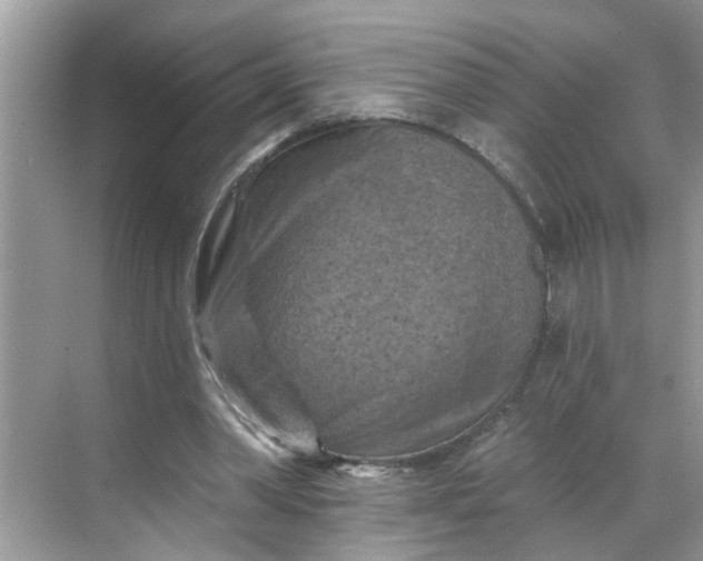 X0000068740390200605121549