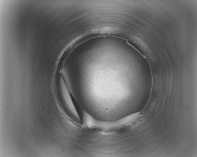 X0000068740392200605121549