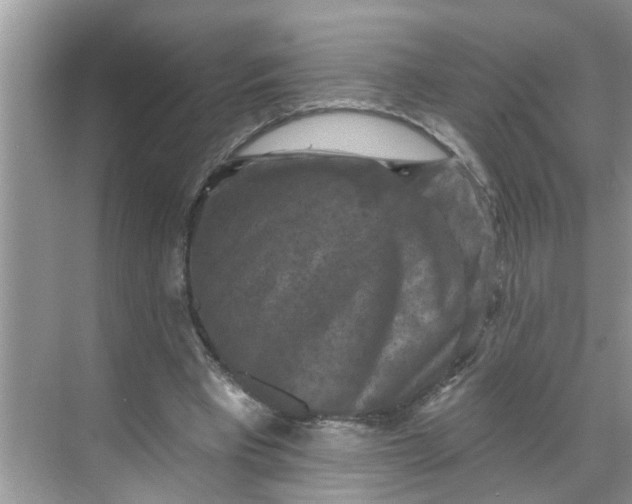 X0000068740393200605121549