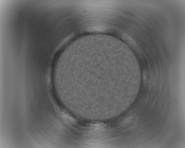 X0000068740396200605121549