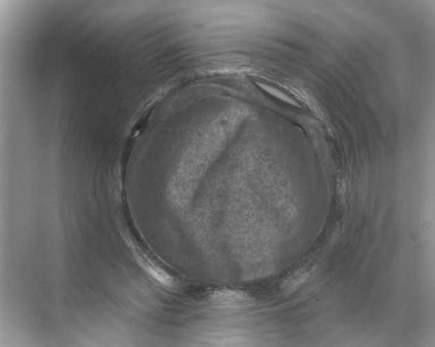 X0000068740397200605121549