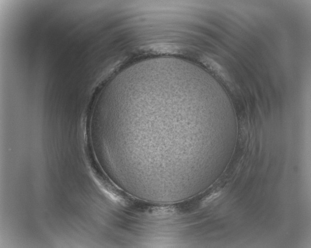 X0000068740398200605121549