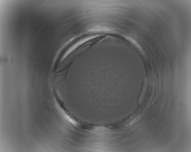 X0000068740399200605121549