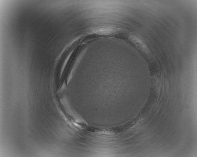 X0000068740400200605121549