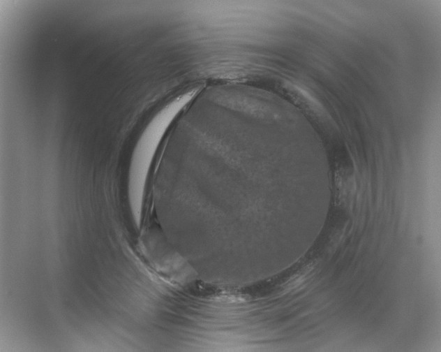 X0000068740404200605121549