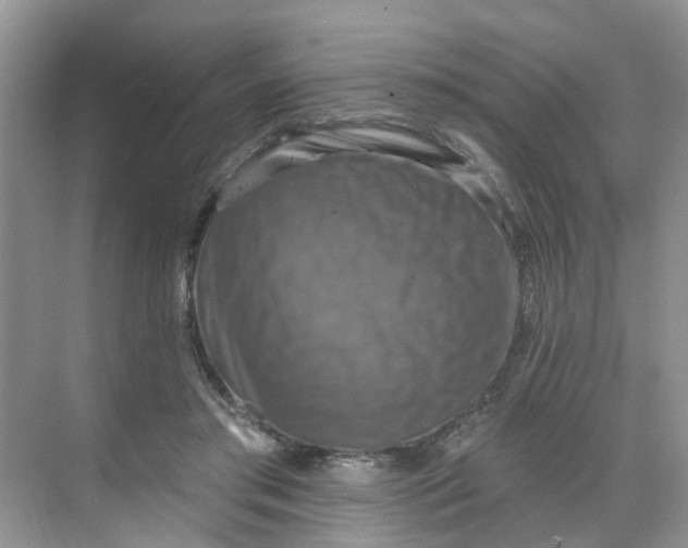 X0000068740405200605121549