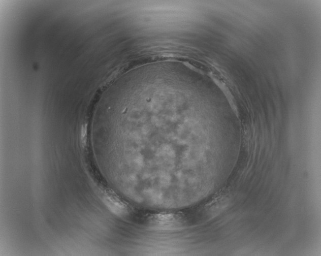 X0000068740406200605121549