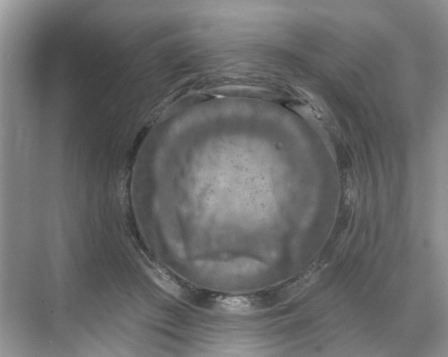 X0000068740409200605121549