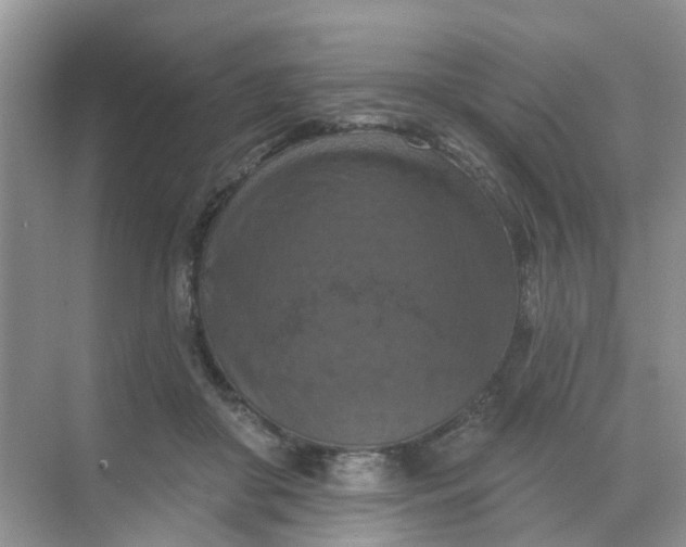 X0000068740410200605121549