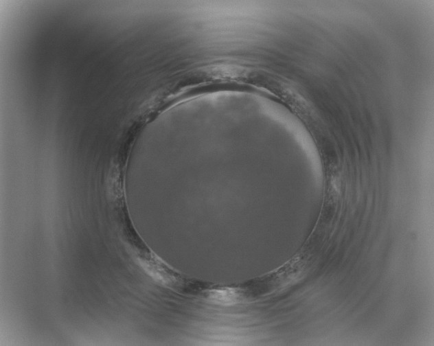 X0000068740411200605121549