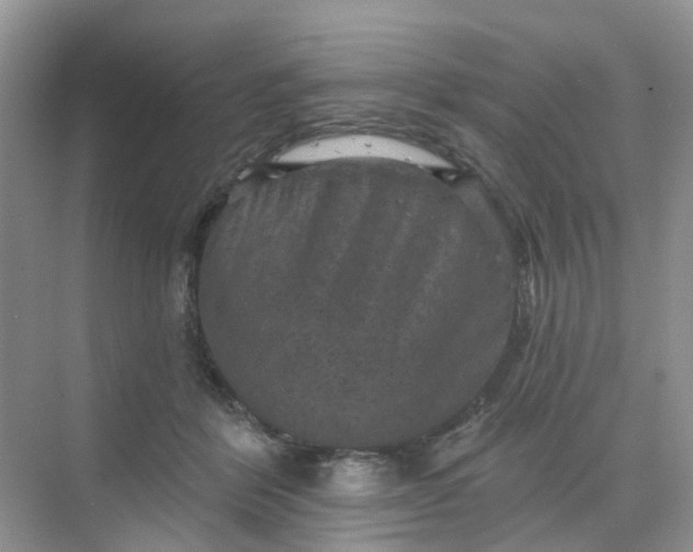 X0000068740412200605121549