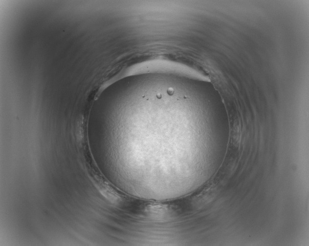 X0000068740413200605121549