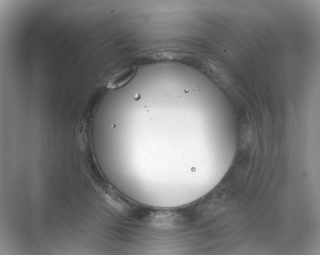 X0000068740414200605121549