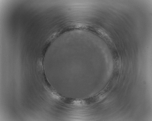 X0000068740415200605121549