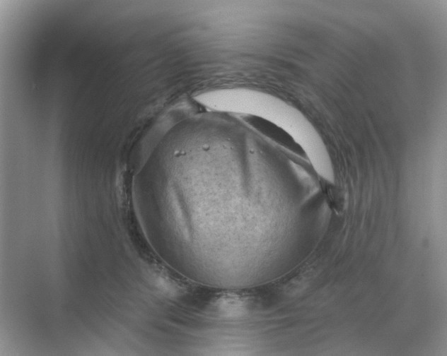 X0000068740416200605121549