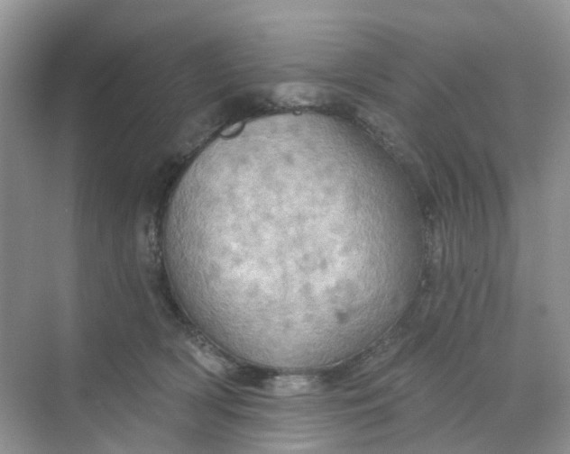 X0000068740418200605121549