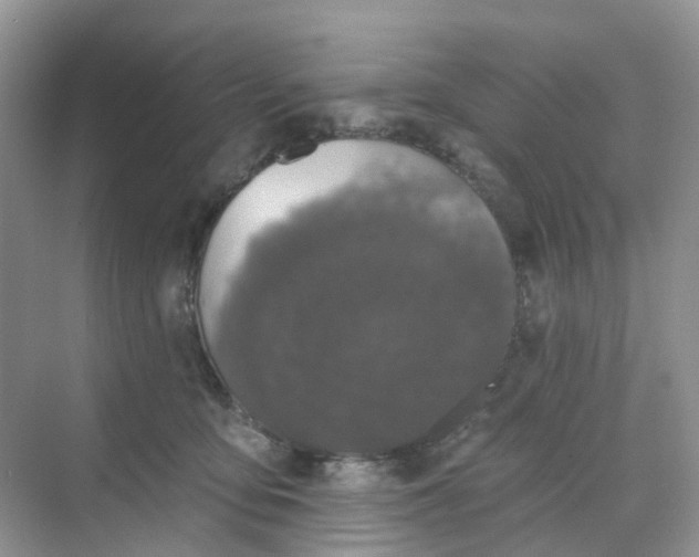 X0000068740419200605121549