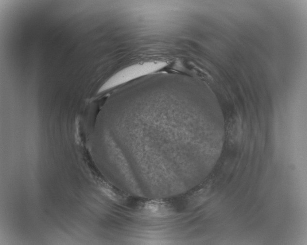 X0000068740420200605121549