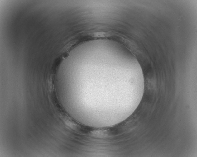 X0000068740422200605121549