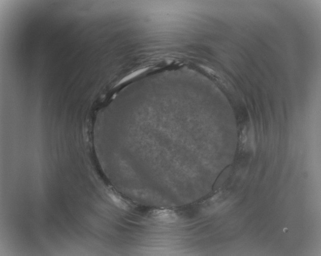 X0000068740424200605121549