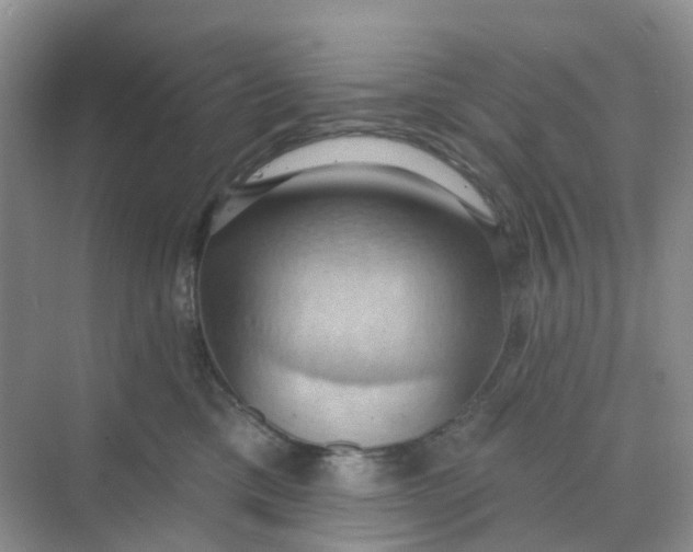 X0000068740425200605121549