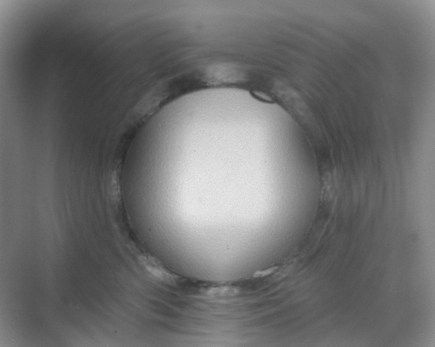 X0000068740426200605121549