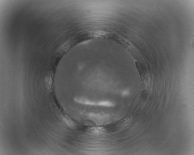 X0000068740427200605121549