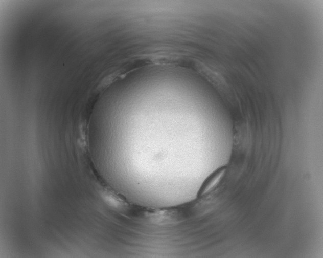 X0000068740430200605121549