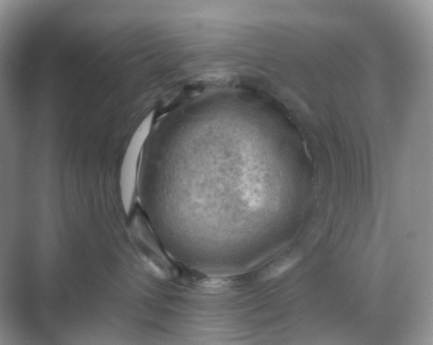 X0000068740432200605121549