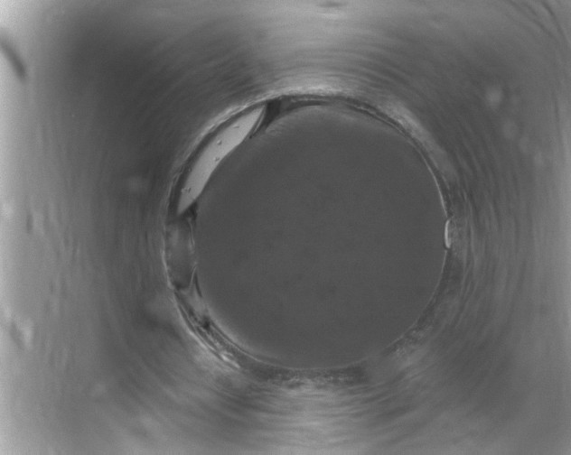 X0000068740434200605121548