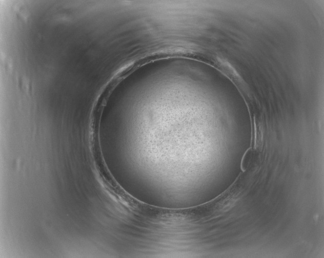 X0000068740435200605121548