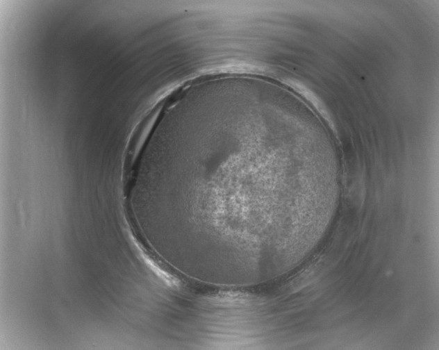 X0000068740437200605121548